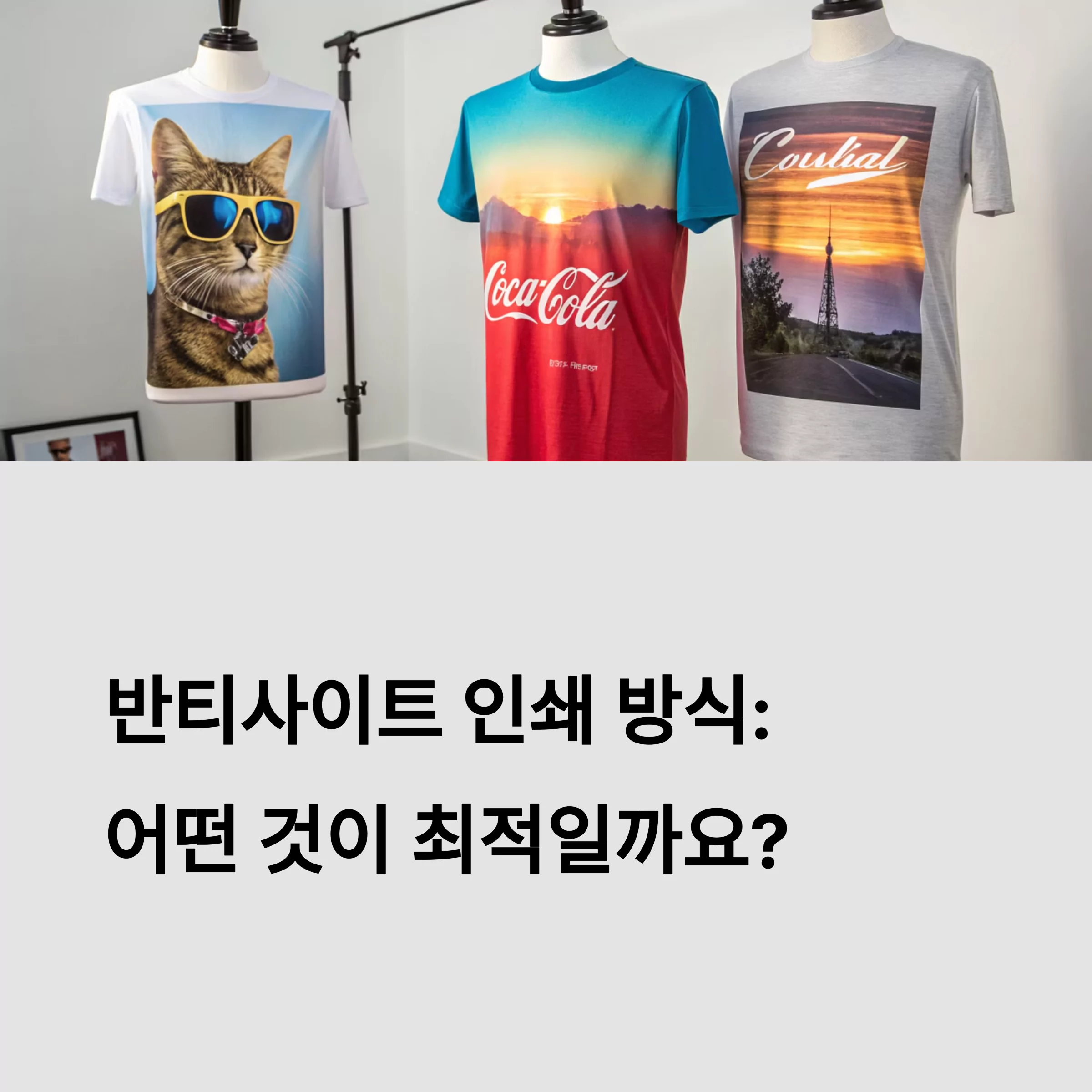 반티사이트 인쇄 잘하는 곳, 퀄리티 직접 비교해봤다